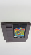Load image into Gallery viewer, Hydlide - Nintendo NES