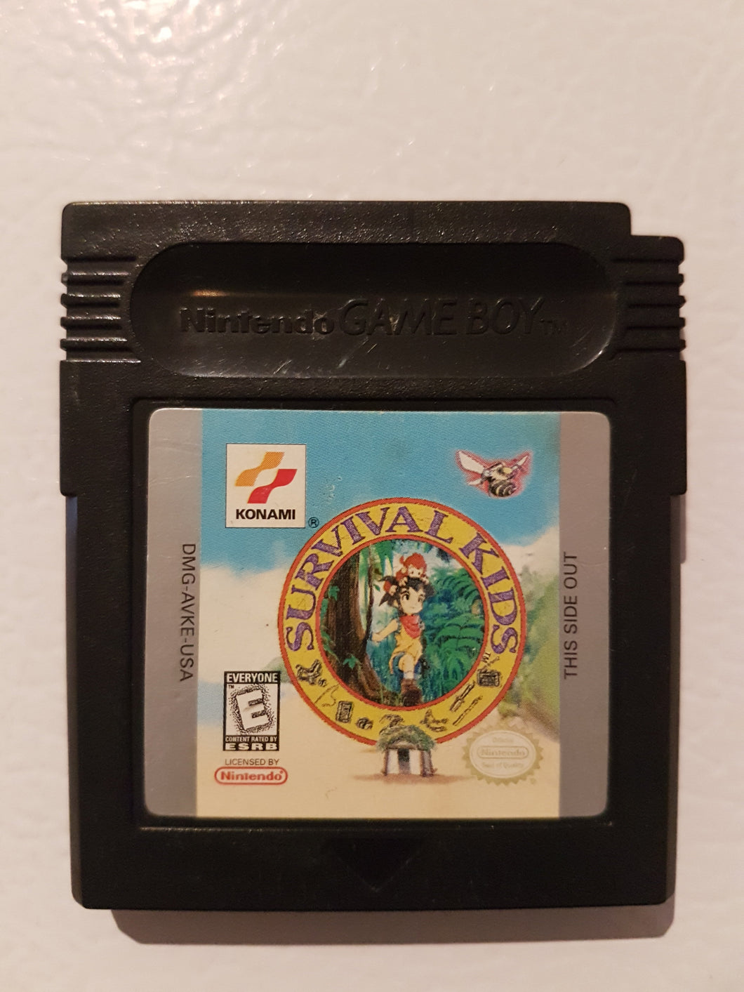 GameBoyColor - Survival Kids [loose]