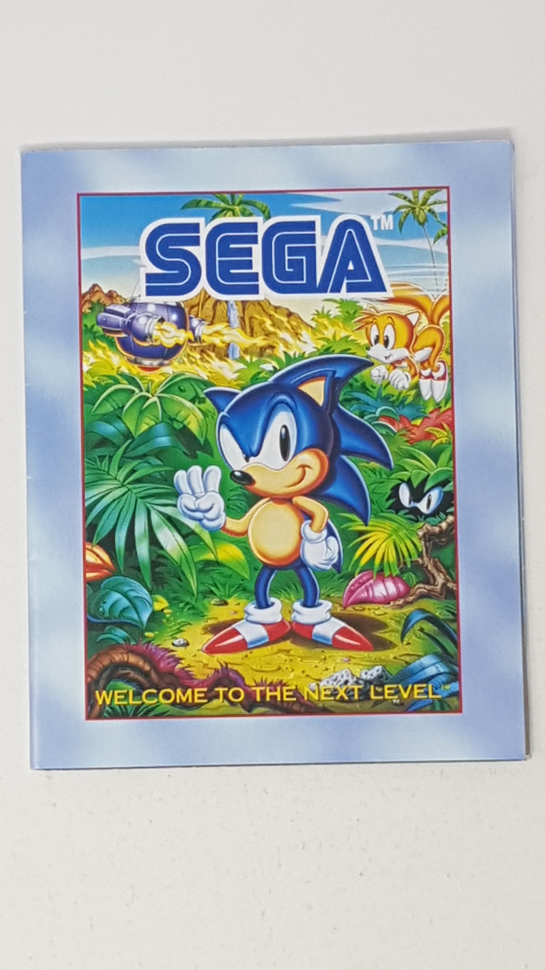 Eternal Champions Sonic Hedgehog 3 Game [Poster] - Sega Genesis