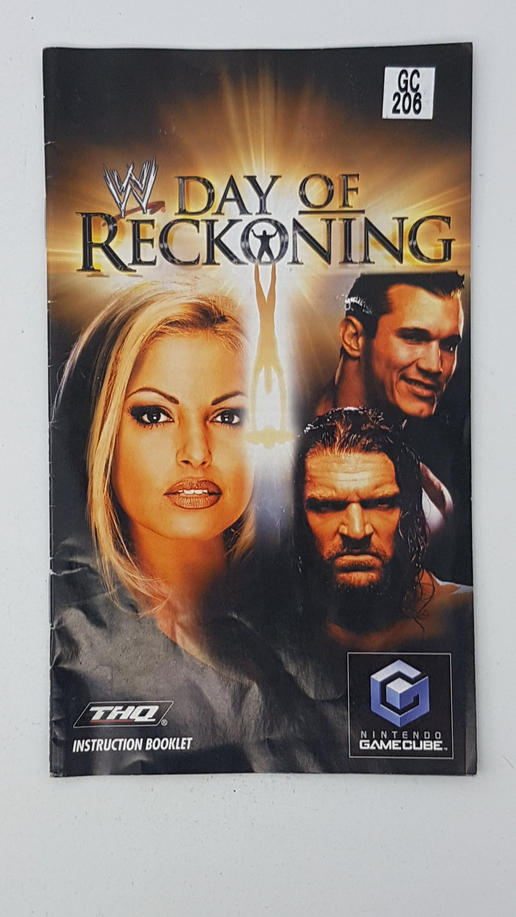 GameCube - WWE Day of Reckoning [manuel]