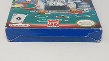 Load image into Gallery viewer, Caesar&#39;s Palace - Nintendo Nes
