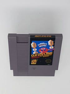 Clu Clu Land - Nintendo Nes